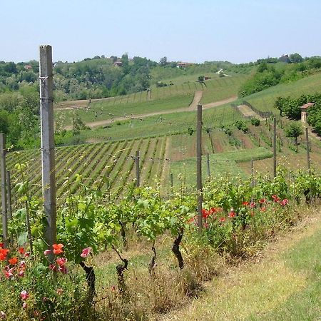 Cascina Rollone Villa Rocchetta Tanaro Ngoại thất bức ảnh