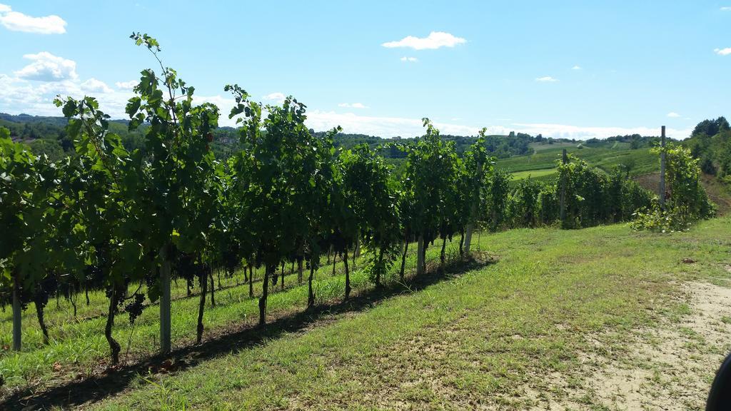 Cascina Rollone Villa Rocchetta Tanaro Ngoại thất bức ảnh