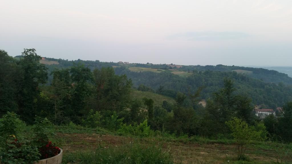 Cascina Rollone Villa Rocchetta Tanaro Ngoại thất bức ảnh